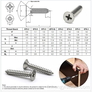 Vis de la coton de Torx Head Tapping